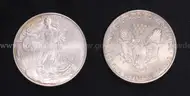 10 Silver U.S. American Eagle Coins