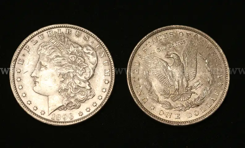 34 U.S. Silver Morgan Dollar Coins