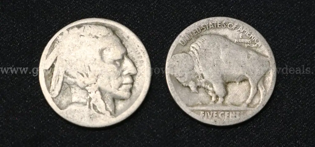 61 U.S. Buffalo Nickel Coins