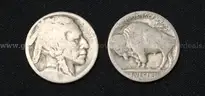 61 U.S. Buffalo Nickel Coins