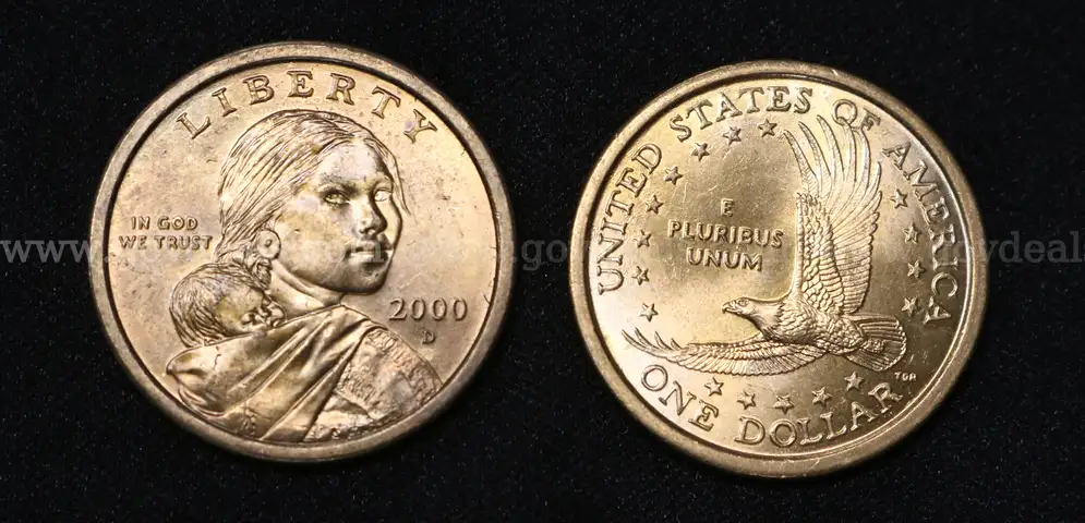 100 U.S. Sacagawea Dollar Coins