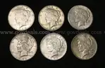 14 U.S. Silver Peace Dollar Coins