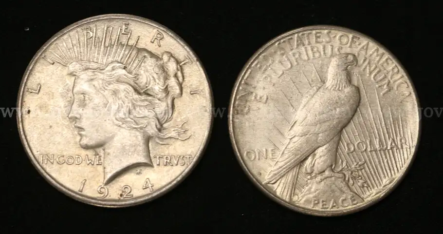 14 U.S. Silver Peace Dollar Coins