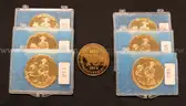 8- Terry County, Tx Commemorative Gold-Plated 1 Oz. Silver Rounds, 250.4 Grams