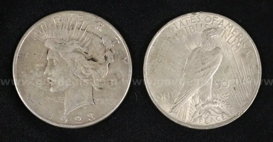 25 U.S. Silver Peace Dollar Coins