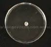 32- Assorted Size Round Cut Loose Diamonds