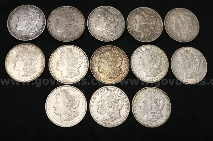 13 Silver U.S. Morgan Dollar Coins