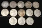 13 Silver U.S. Morgan Dollar Coins