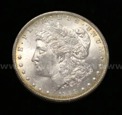 Graded U.S. Silver 1888-O Morgan Dollar Coin