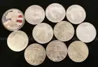 32 American Eagle Silver Dollars