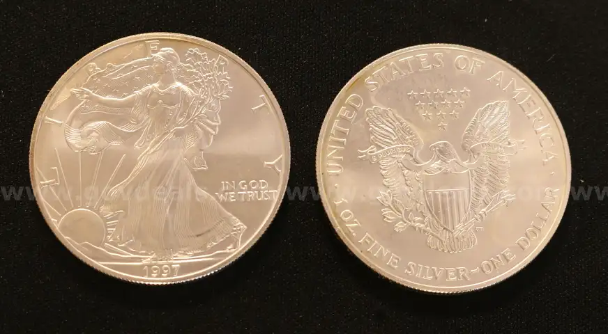 32 American Eagle Silver Dollars
