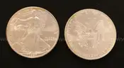 32 American Eagle Silver Dollars