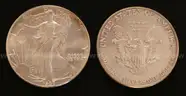 25 U.S. Silver American Eagle $1 Dollar Coins
