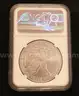25 U.S. Silver American Eagle $1 Dollar Coins