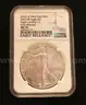 25 U.S. Silver American Eagle $1 Dollar Coins