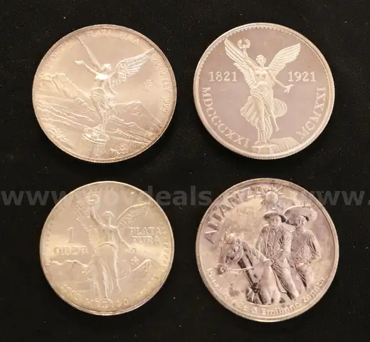 24 Mexico Assorted .999 Silver Rounds, 746.3 Grams