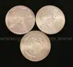 24 Mexico Assorted .999 Silver Rounds, 746.3 Grams