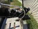 1986 Invader 17 foot boat and trailer