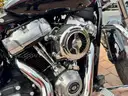 2023 Harley-Davidson  Softail FXST 1745cc Cruiser 55 miles