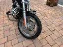 2023 Harley-Davidson  Softail FXST 1745cc Cruiser 55 miles