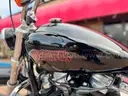 2023 Harley-Davidson  Softail FXST 1745cc Cruiser 55 miles