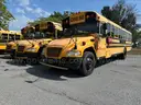 Lot of 5 School Buses
