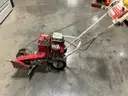 Lawn Edger