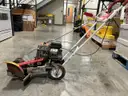 Lawn Edger