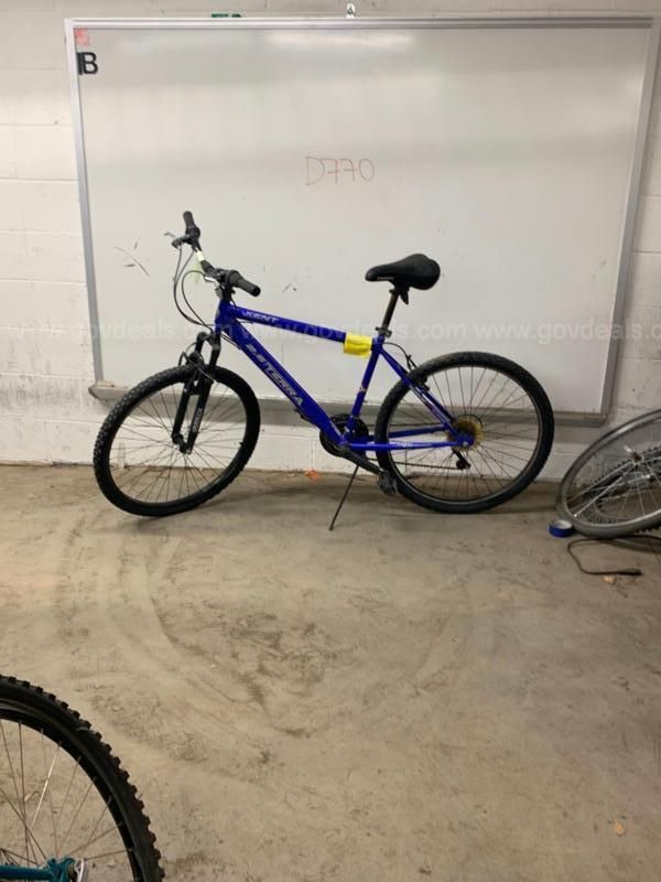 Kent terra 2.6 bike price hot sale