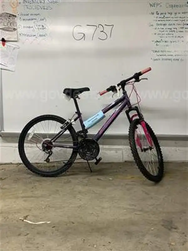 RALLYE, DESCENT, 16-inch CT AllSurplus