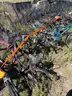 [10 Bike] Batch of INCOMPLETE Abandoned Bicycles - Lot 1