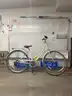 Retrospec, beaumont, 18-inch CT