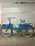 Schwinn, Delmar, 17-inch CT