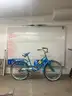 Schwinn, Delmar, 17-inch CT