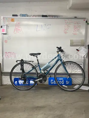 Liv Alight, 15-Inch Ct