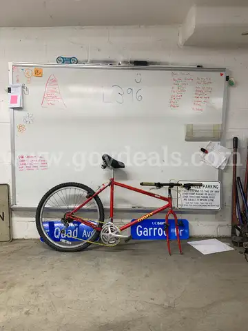 Giant Iguana, 22-Inch Ct