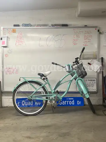 Schwinn Delmar, 20-Inch Ct