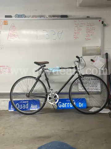 Linus Unknown, 24-Inch Ct