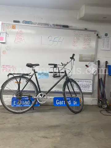 Virtue Unknown, 24-Inch Ct