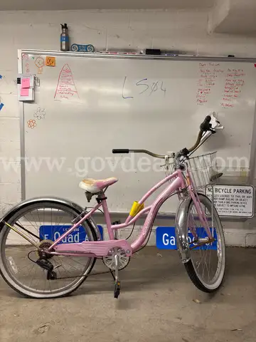 Schwinn Roxie, 17-Inch Ct