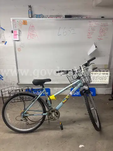 Motiv Rockridge, 18-Inch Ct