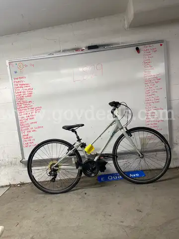 Liv Alight , 17-Inch Ct