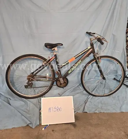 Schwinn Pathway, 18-Inch Ct