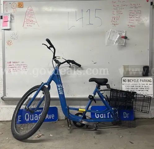 Sun Solstice, 21-Inch Ct