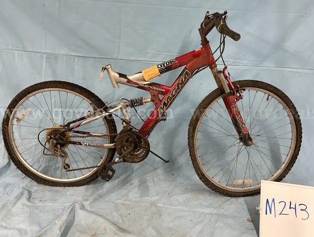 Magna Exitor, 19-Inch Ct