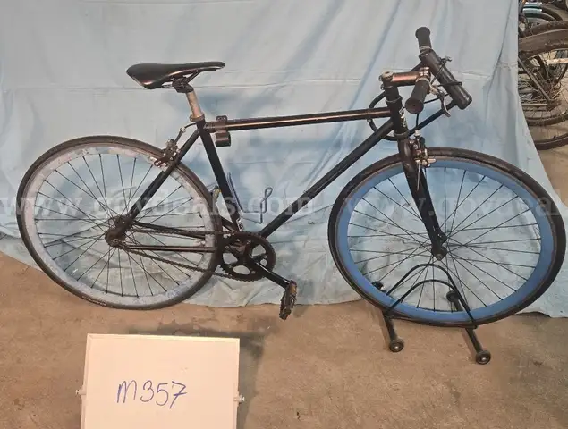 Golden Cycles Single Speed, 21-Inch Ct