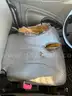 2007 International Detroit 7400 AS IS