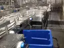 Complete Coffee Creamer Bottle Filling &#x26; Case Packaging Line