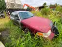 Red Crown Vic