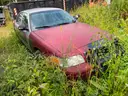 Red Crown Vic
